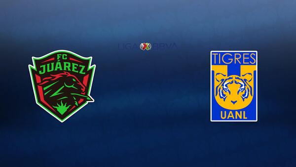 Liga MX Soccer