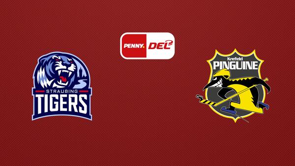 Live: Eishockey: DEL