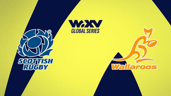 Live: WXV Global Series