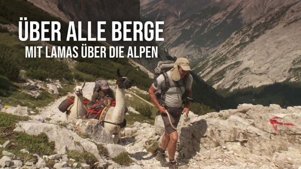 Über alle Berge - Mit Lamas über die Alpen
