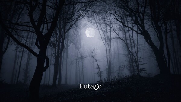 Futago