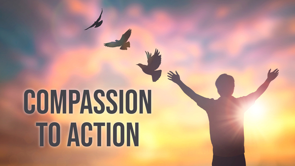 Compassion to Action