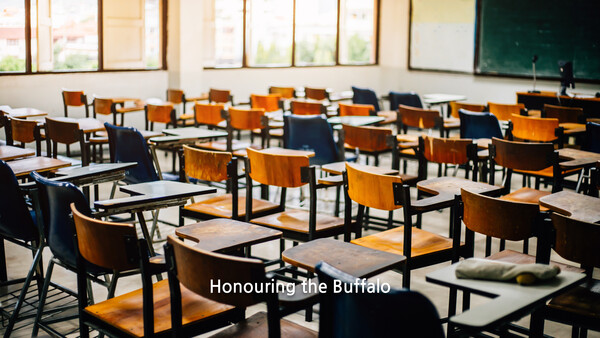 Honouring the Buffalo
