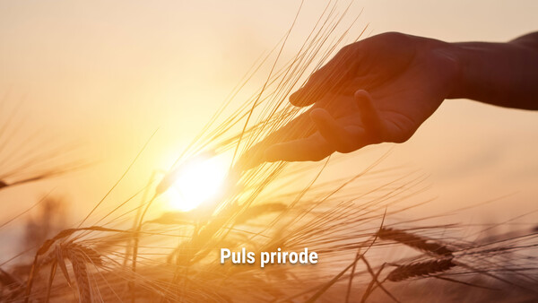 Puls prirode