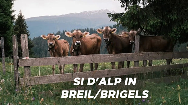 Si d'alp in Breil/Brigels