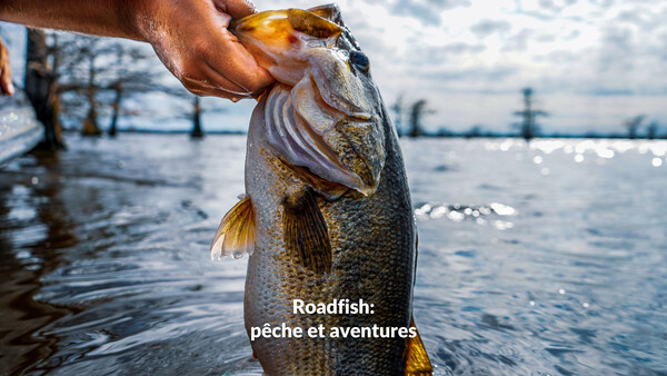 Roadfish: pêche et aventures