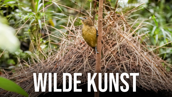 Wilde Kunst