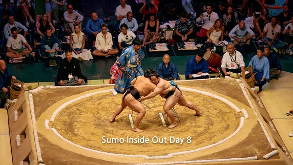 Sumo Inside Out Day 8