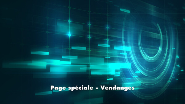 Live: Page spéciale - Vendanges