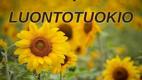 Luontotuokio