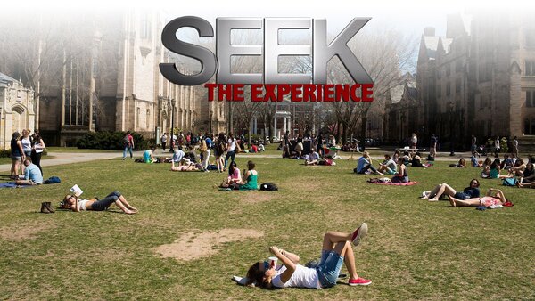 Seek the Experience