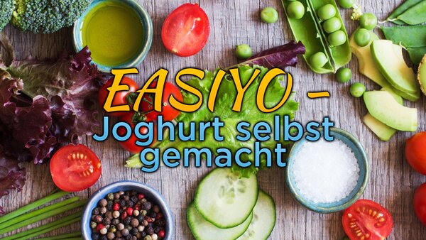 EASIYO - Joghurt selbst gemacht