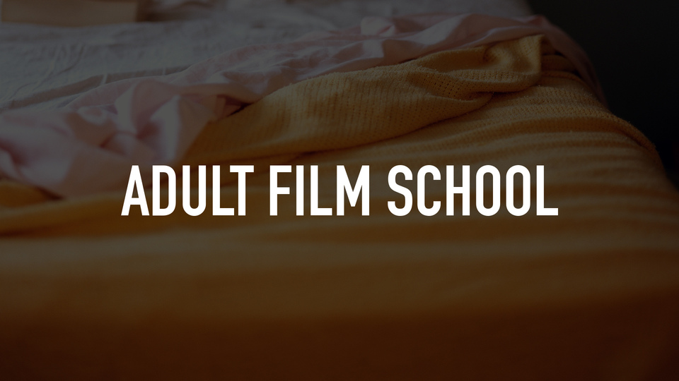 Adult Film School