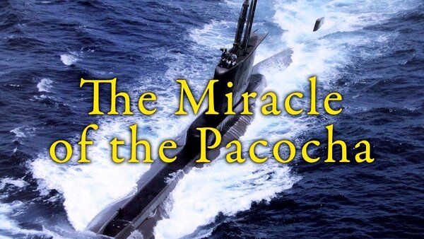 The Miracle of the Pacocha