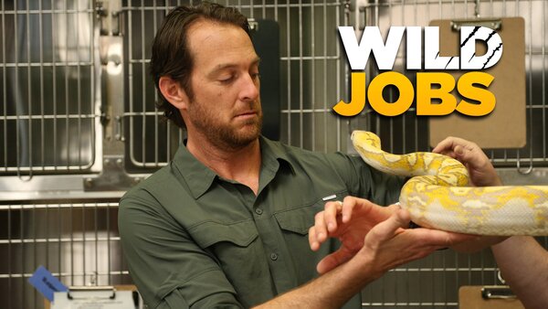 Wild jobs
