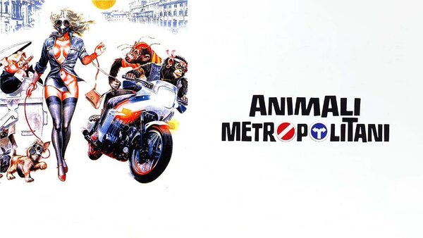 Animali metropolitani