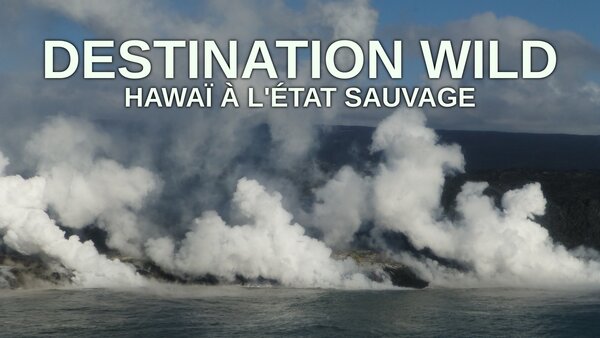 Destination Wild : Hawaï à l'état sauvage