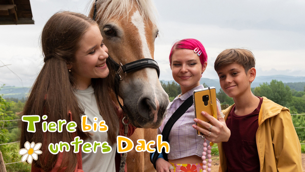 Tiere bis unters Dach
