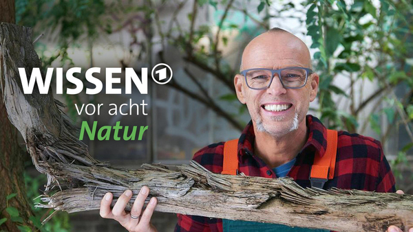 Wissen vor acht - Natur