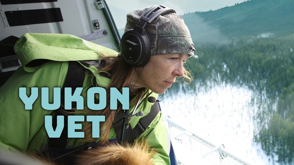 Yukon Vet