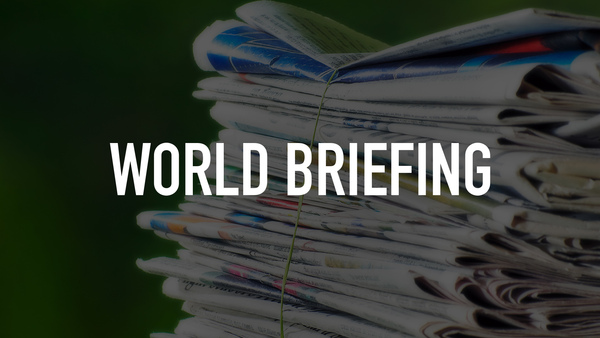 World Briefing