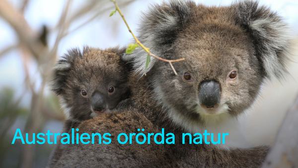 Australiens orörda natur