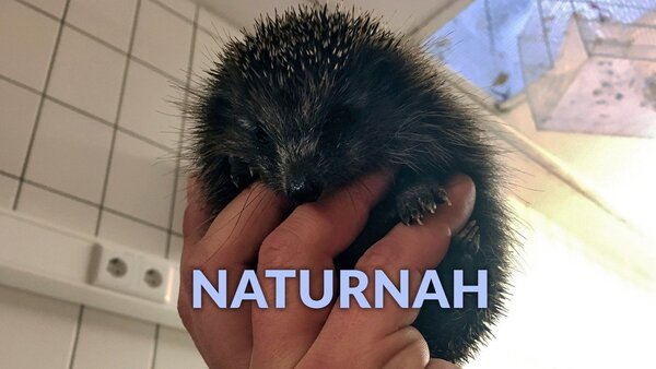 NaturNah