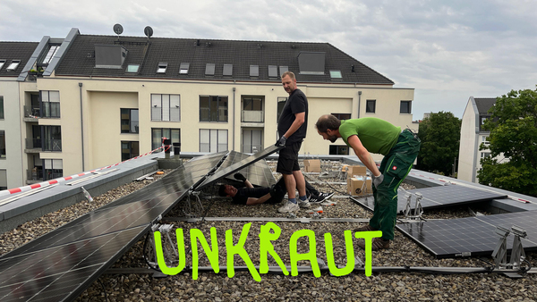 Unkraut