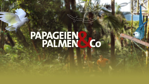 Papageien, Palmen & Co.
