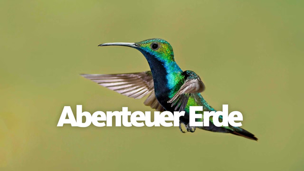 Abenteuer Erde