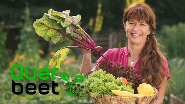 Querbeet