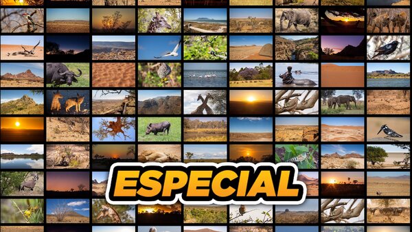 Especial