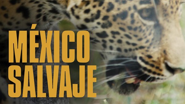 México salvaje