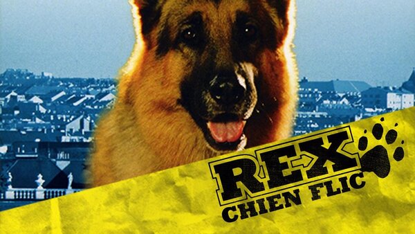 Rex, chien flic