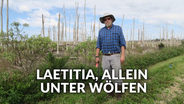 Laetitia, allein unter Wölfen