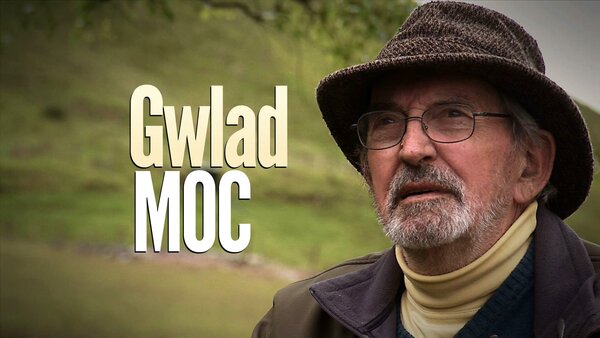 Gwlad Moc