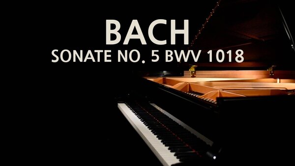 Bach - Sonate No. 5 BWV 1018