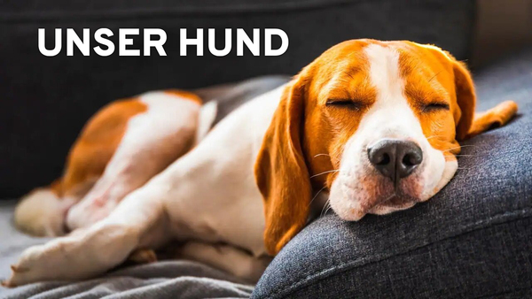 Unser Hund