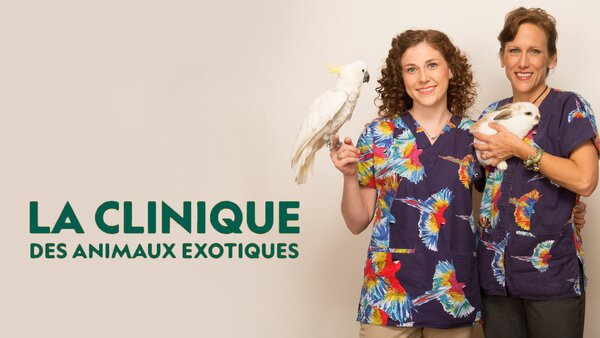 La clinique des animaux exotiques