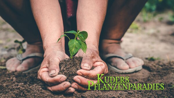 Kuders Pflanzenparadies