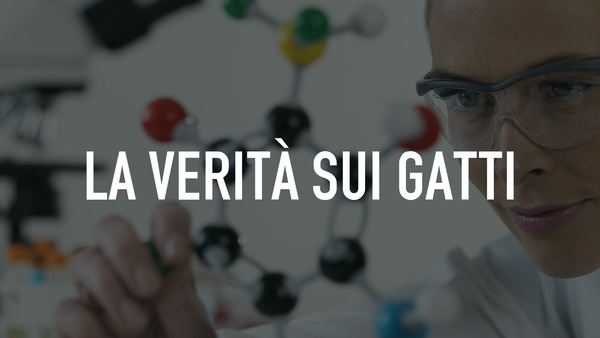 La verità sui gatti