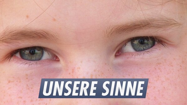 Unsere Sinne