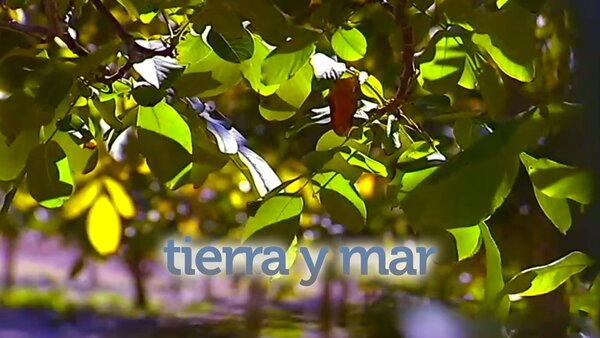 Tierra y mar