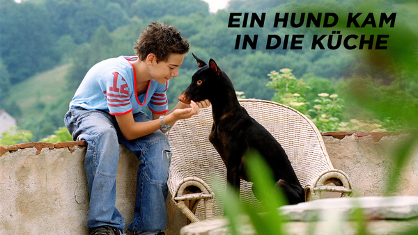Ein Hund kam in die Küche