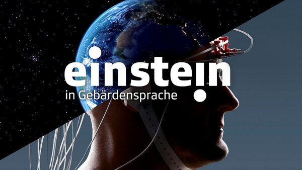 Einstein in Gebärdensprache