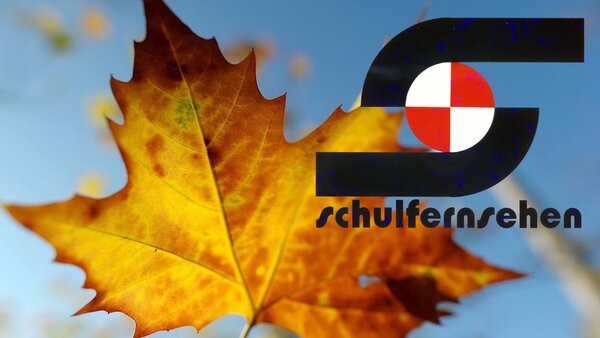 Schulfernsehen