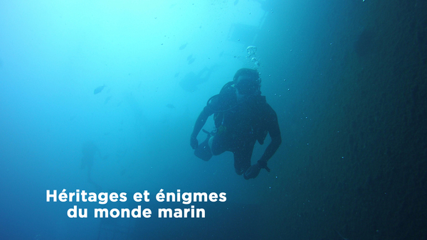 Héritages et énigmes du monde marin
