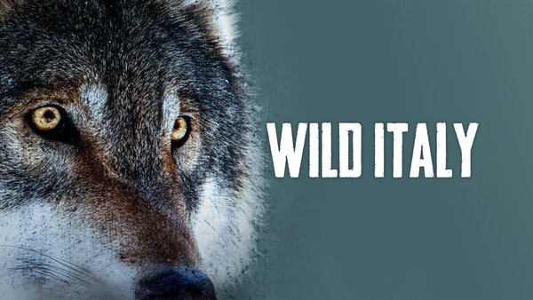 Wild Italy