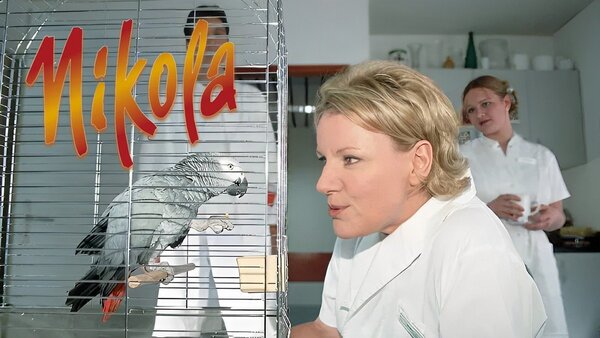 Nikola