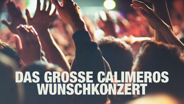Das große Calimeros Wunschkonzert